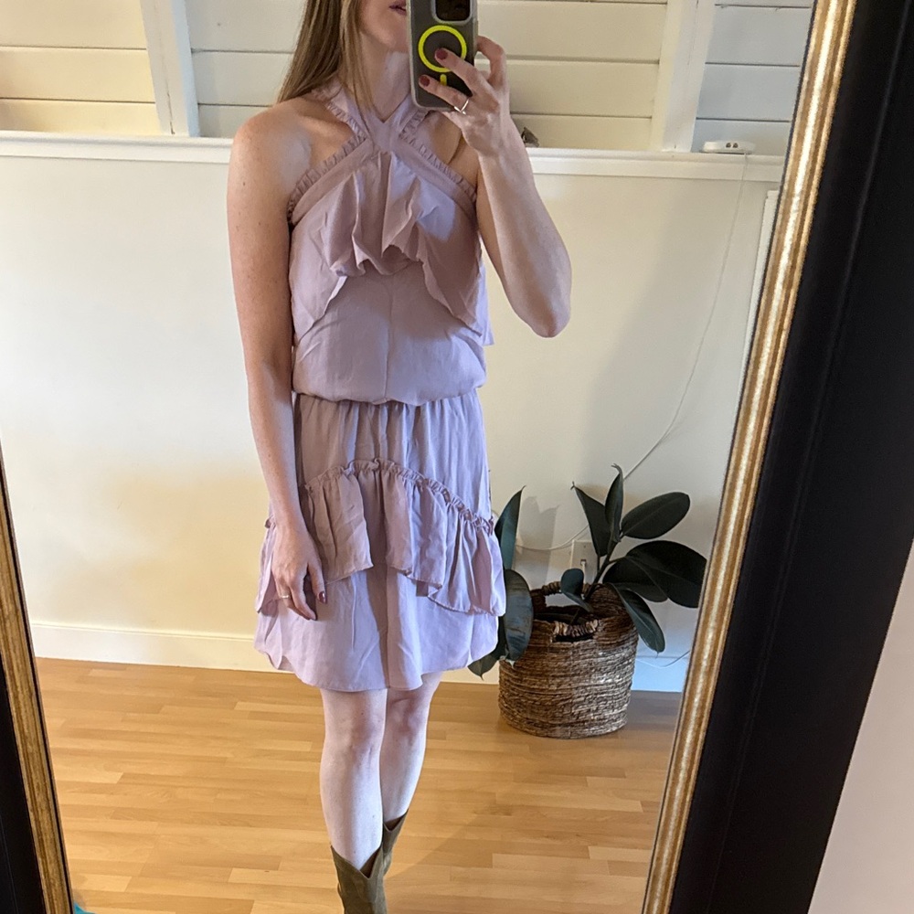 NWT! Parker Dusty Blush Ruffled Dress